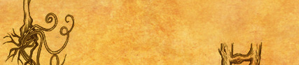 TopBorder1at325c